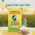 Gạo ST25 Lúa Tôm Cao Cấp - Gạo Ông Cua
